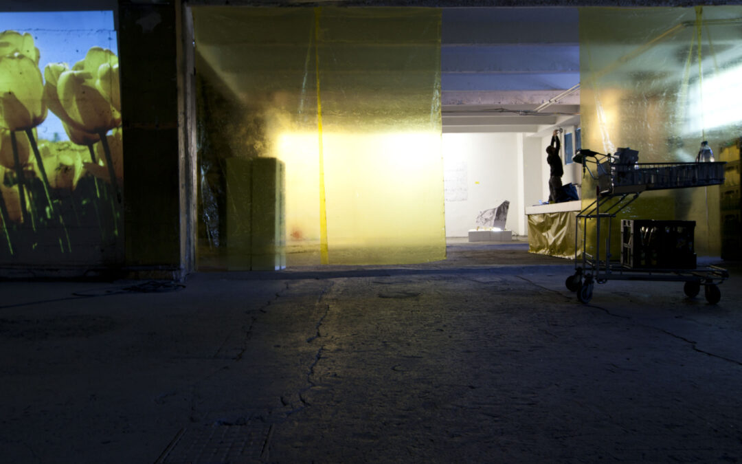 yolk110426_18