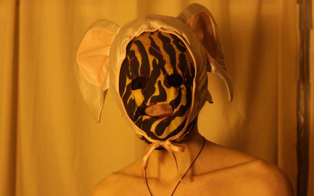 882994_325299634259601_1990407785_o