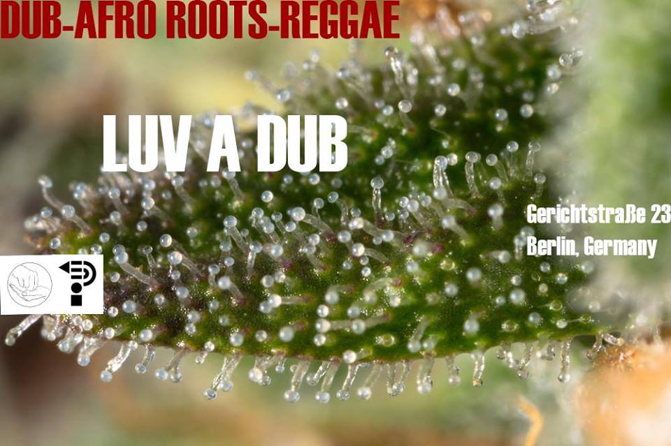 Luv a Dub