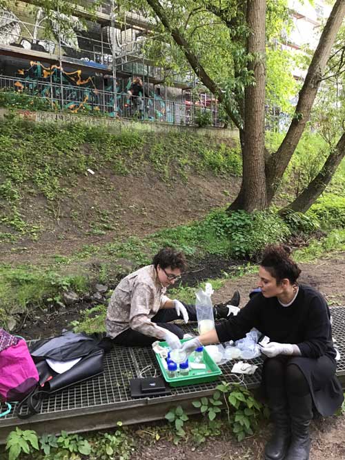 Panke Life. Microbiodiversity Workshop | DIY Hack the Panke