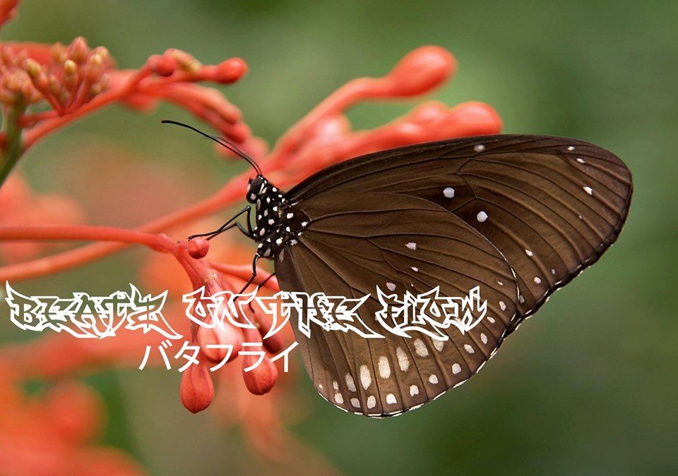 Beatz On the flOw バタフライ