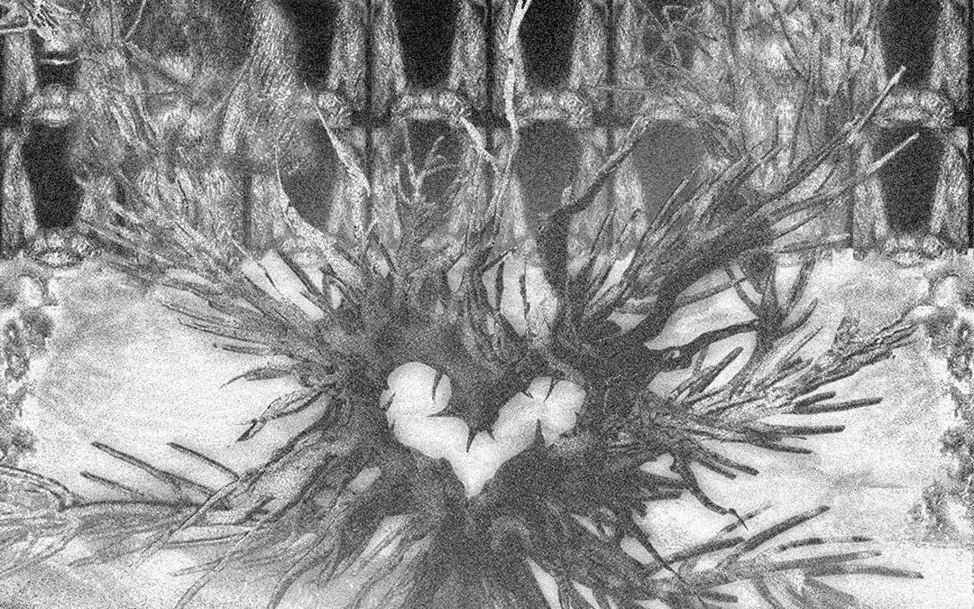 ALGOMYSTICA X RIFORMA