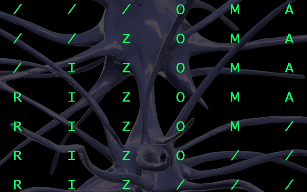 RIZOMA