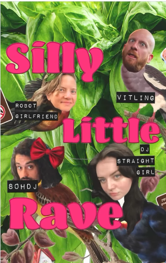 Silly Little Rave