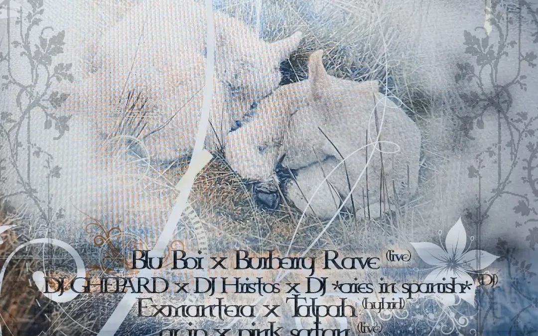 Release Party – TSUMVA.3: Next to You